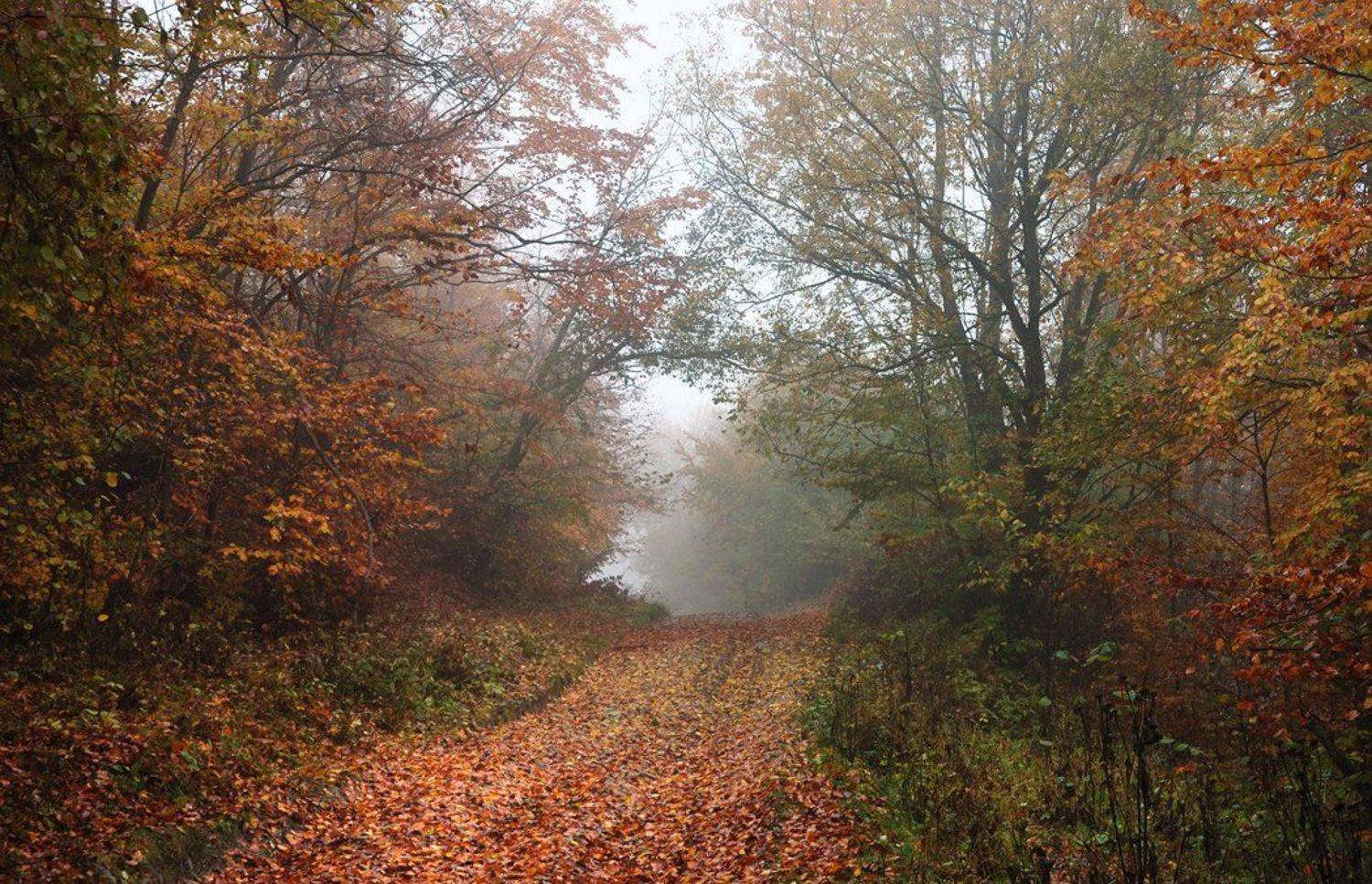 , Леонид Закревский