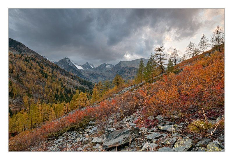 алтай, мульта, горы, золотая осень Геометрия осени фото превью
