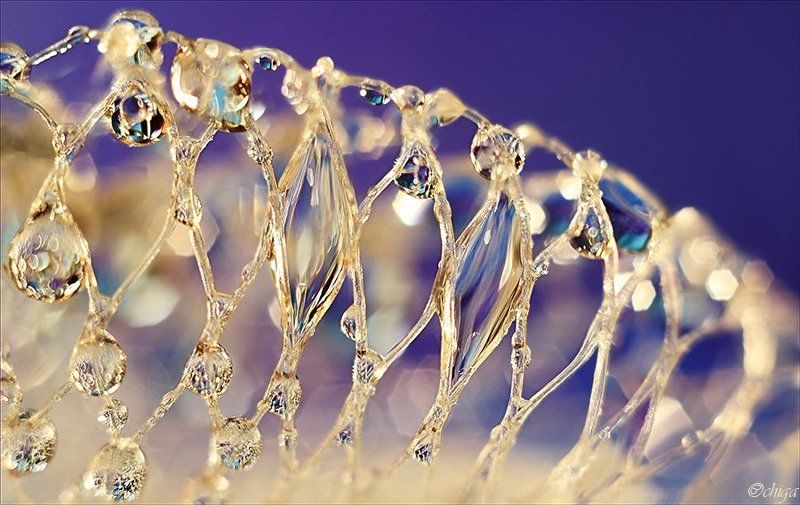 вода, капли *** фото превью