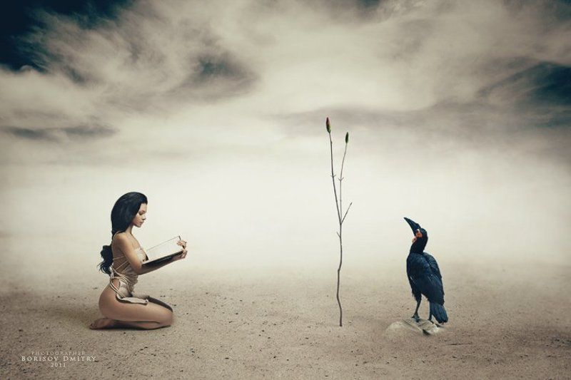 the tree of knowledge of good and evil фото превью