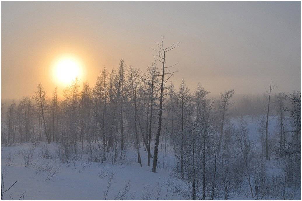 таймыр, Vladimir