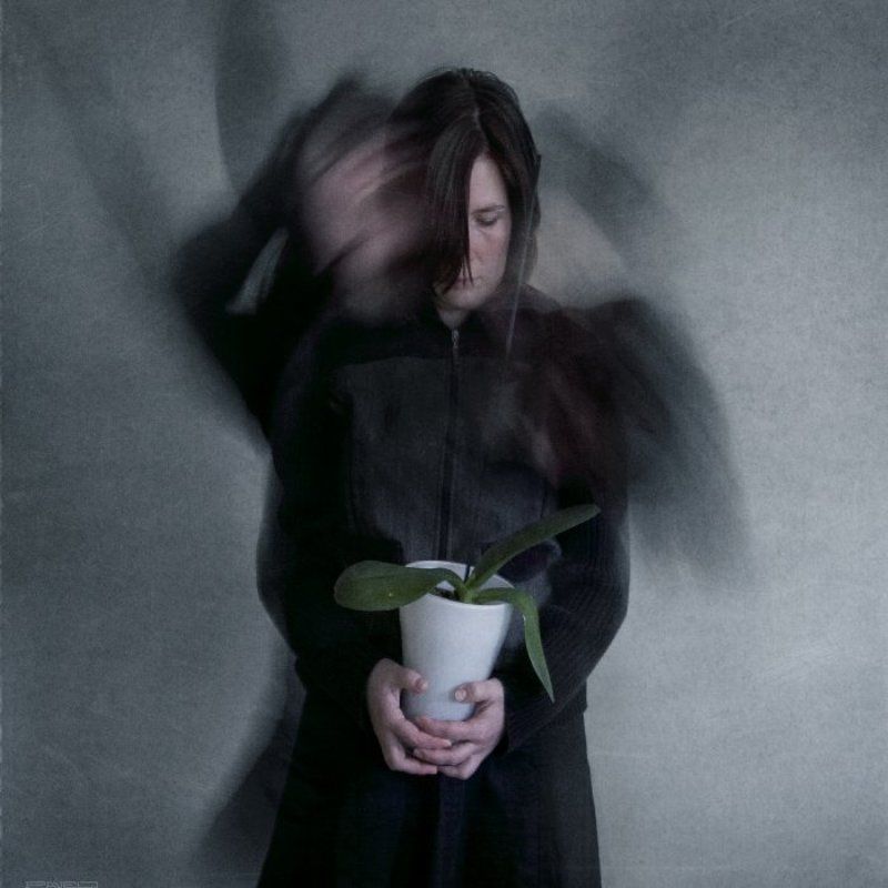 alone . фото превью