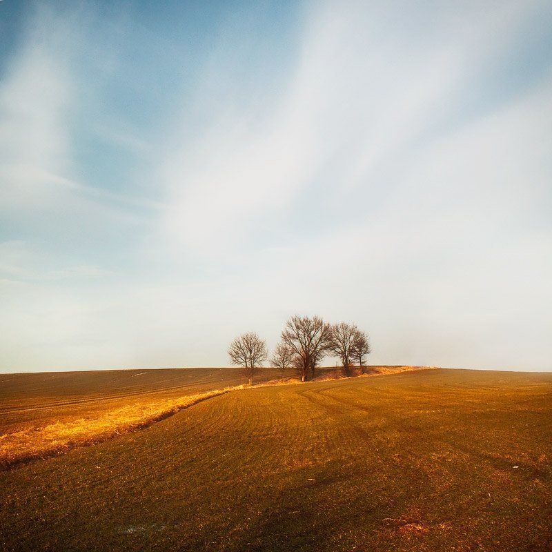 A little bit of spring фото превью