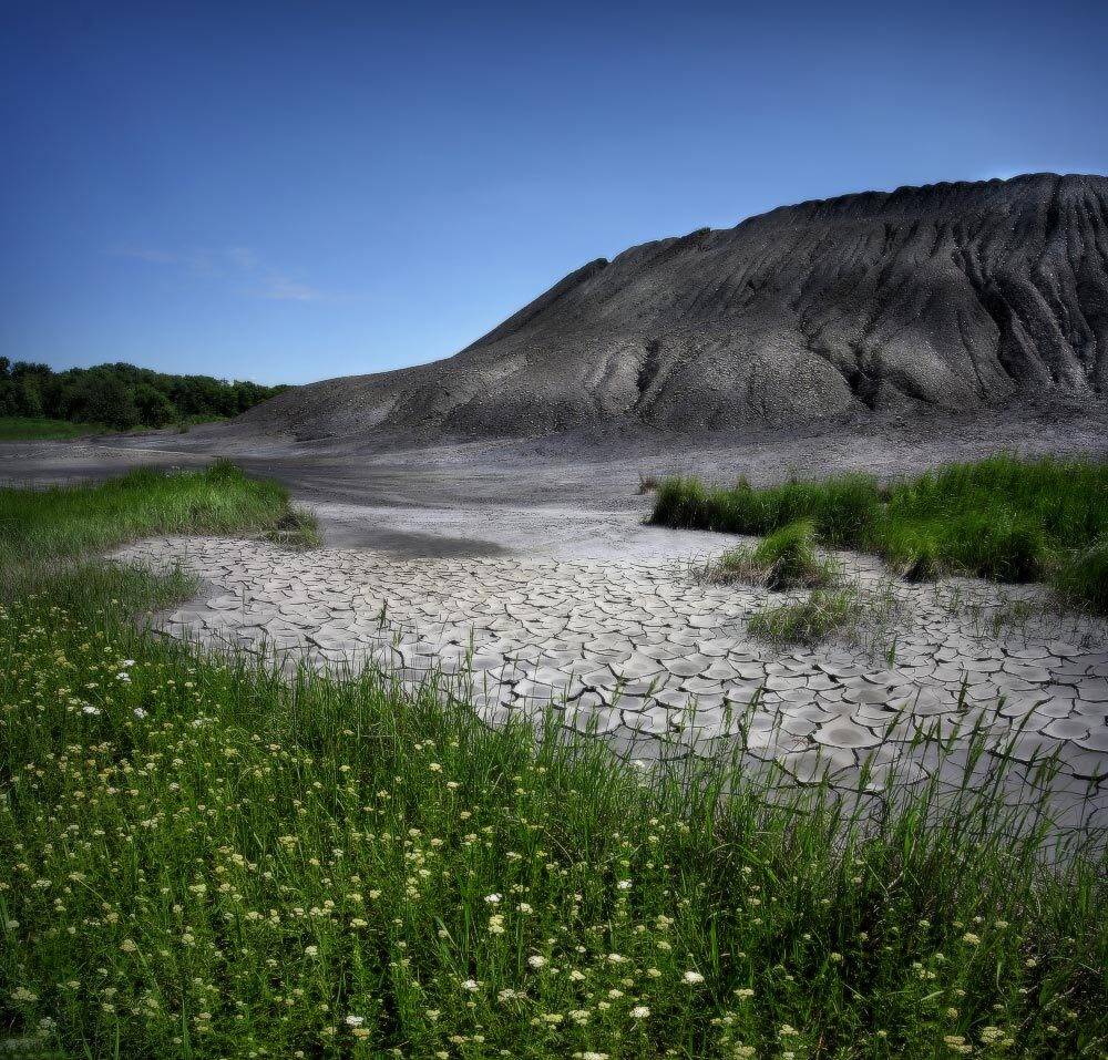 лето, цветы, шахта, Петриченко Валерий