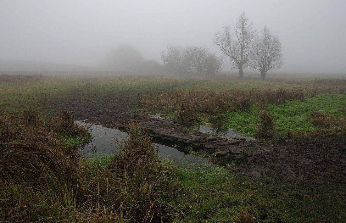 , Николай Шахманцир