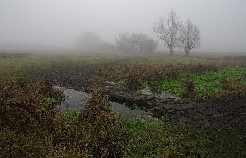 туманным утром за селом... фото превью