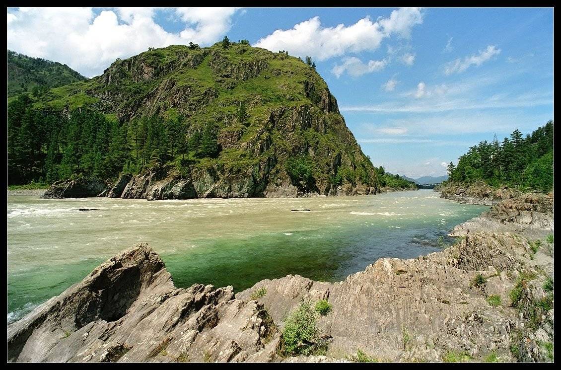 алтай, чемал, лето, катунь, АНАТОЛИЙ ДОВЫДЕНКО