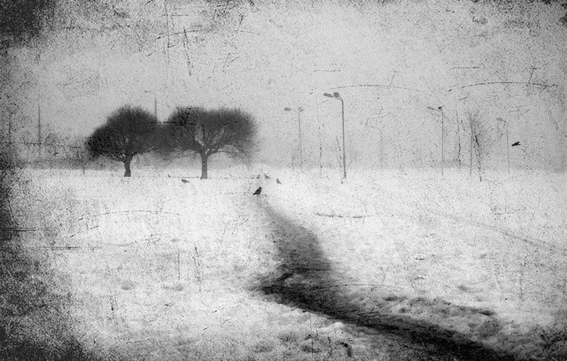 ... фото превью