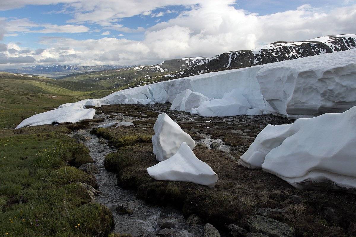 алтай, укок, снежник, Artem