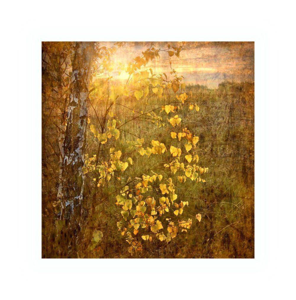 , Людмила Прокофьева