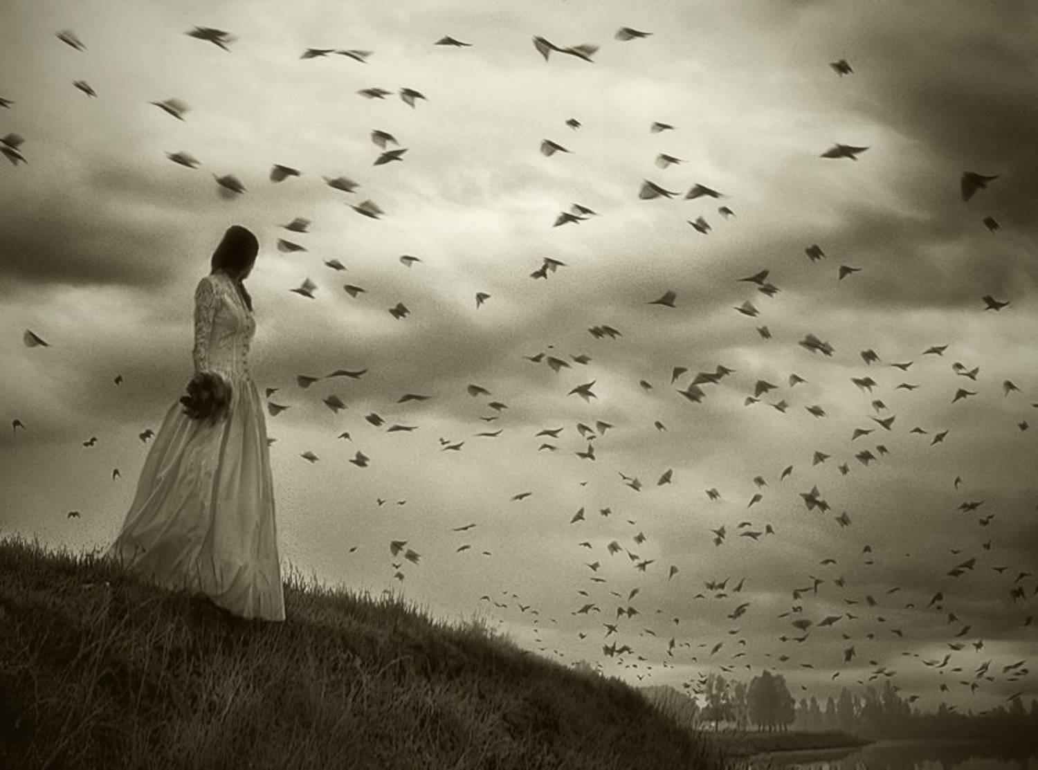 , Елена Воеводина