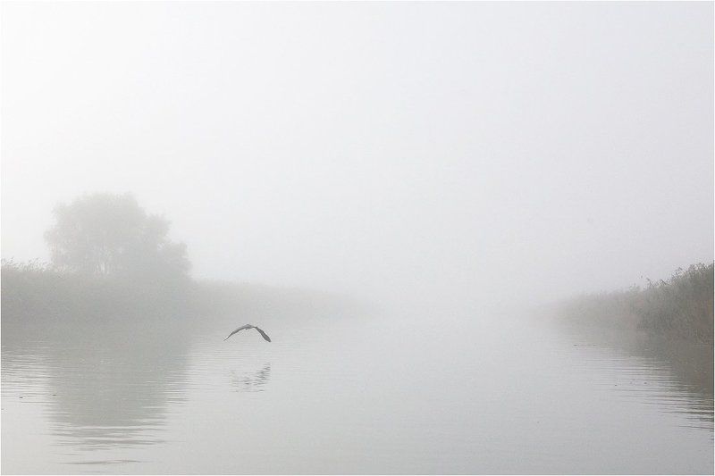 РЫБАЛКА В ТУМАНЕ или ГРЁЗЫ В ГЛУХОЗИМЬЕ фото превью
