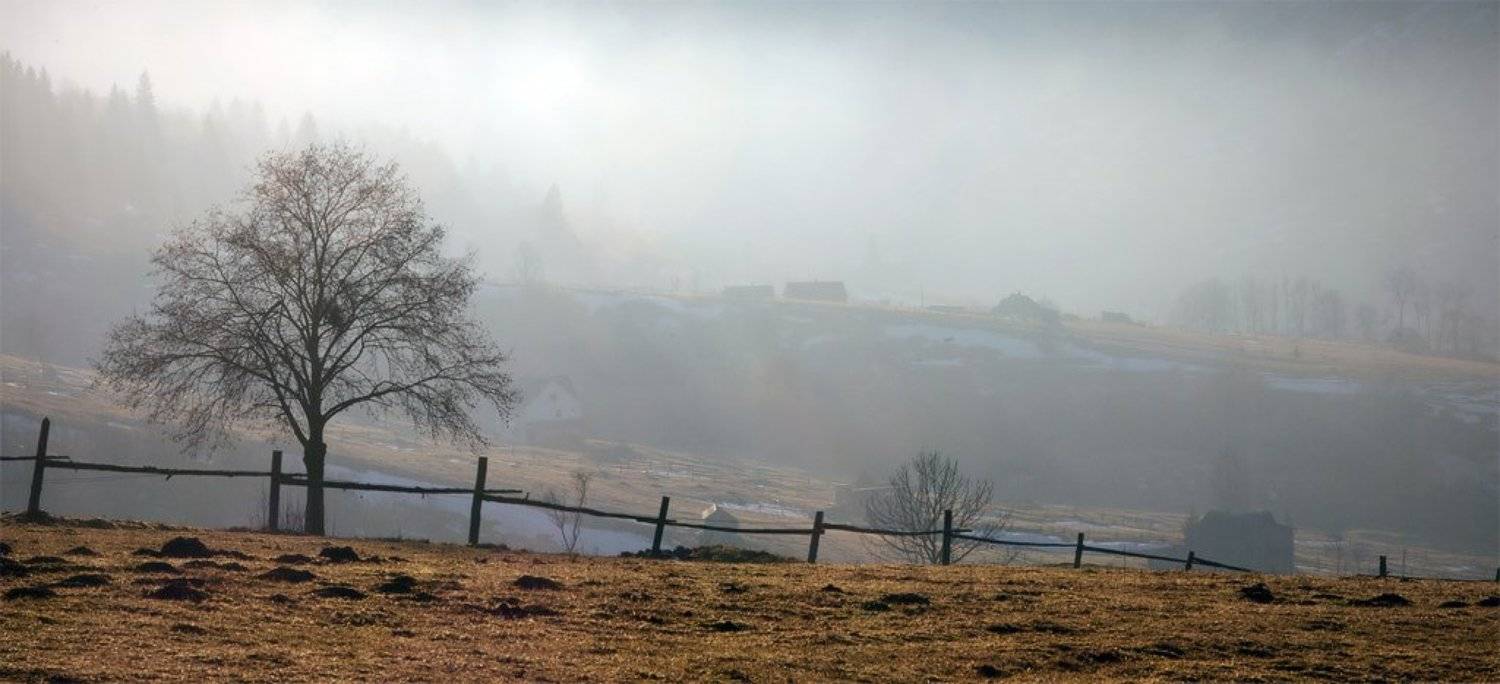 карпаты, зима, природа, пейзаж, панорама, Piligrim