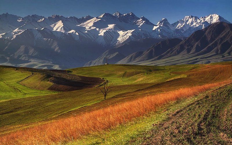 ........... фото превью