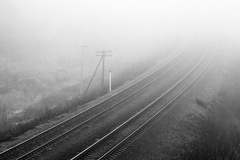 россия, тамбов, пейзаж, туман Road to Nowhere фото превью