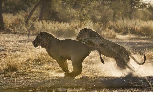 Забавы молодых