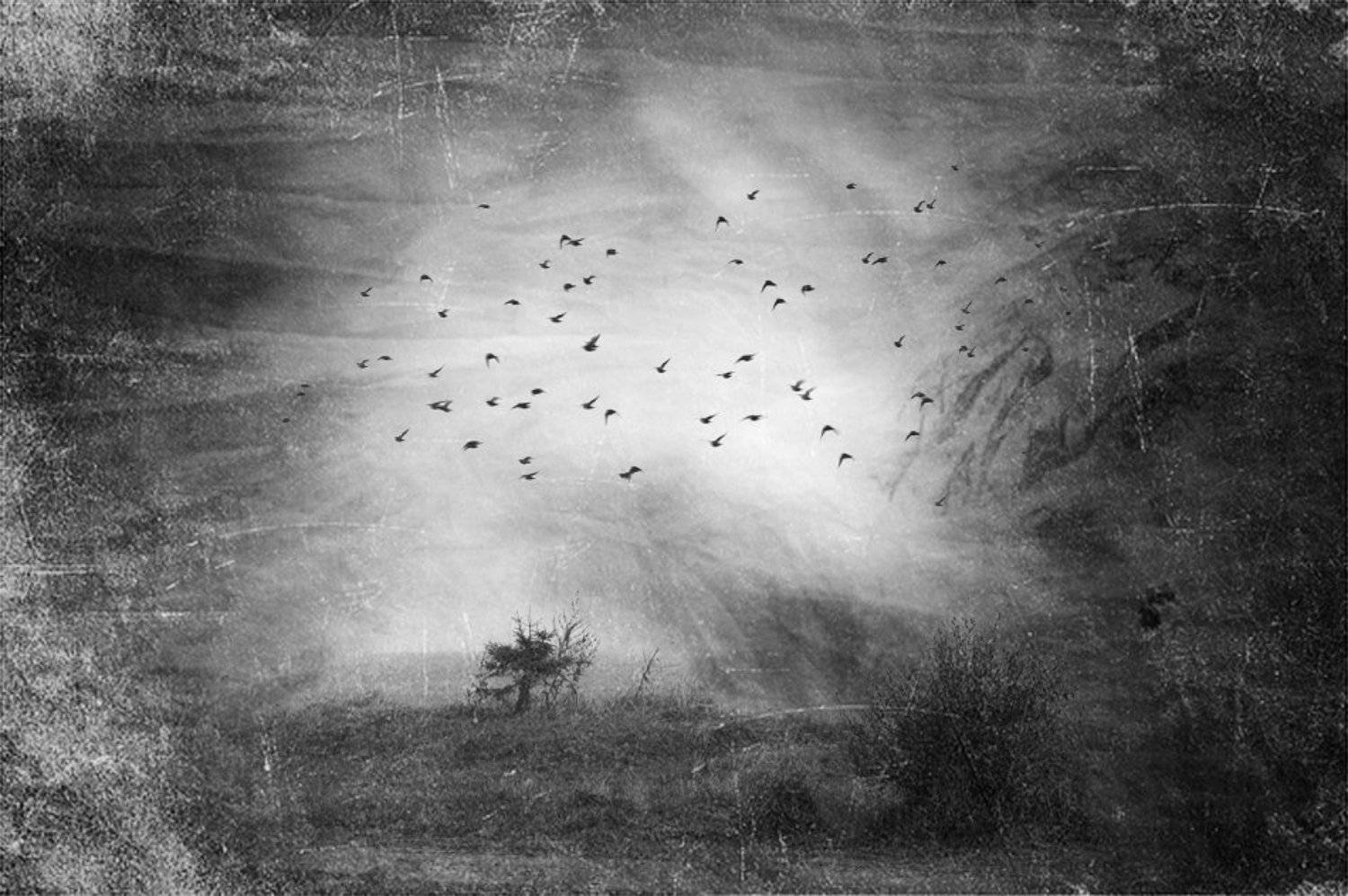 душа, Александр Гришаев