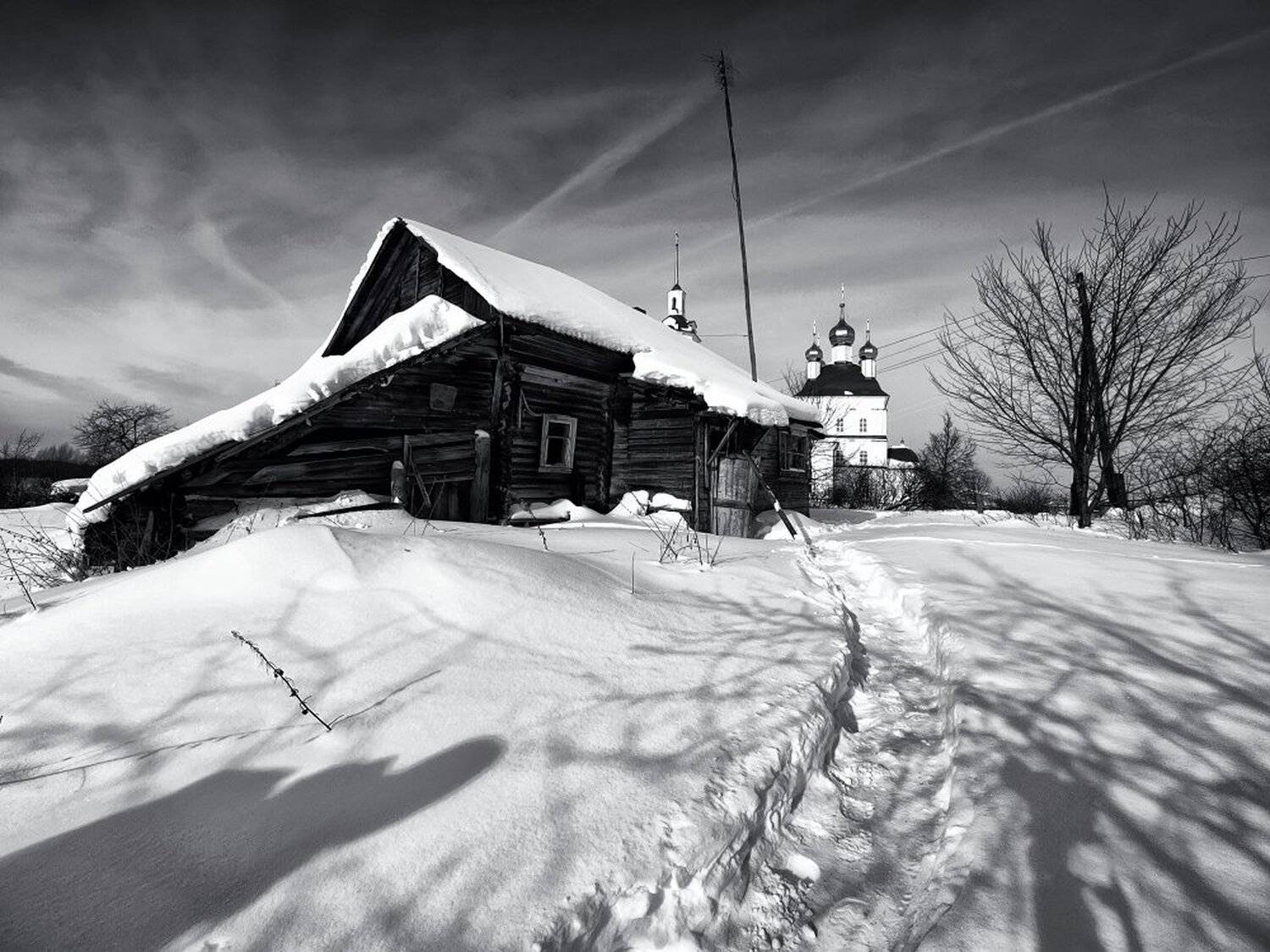 , Максим Евдокимов