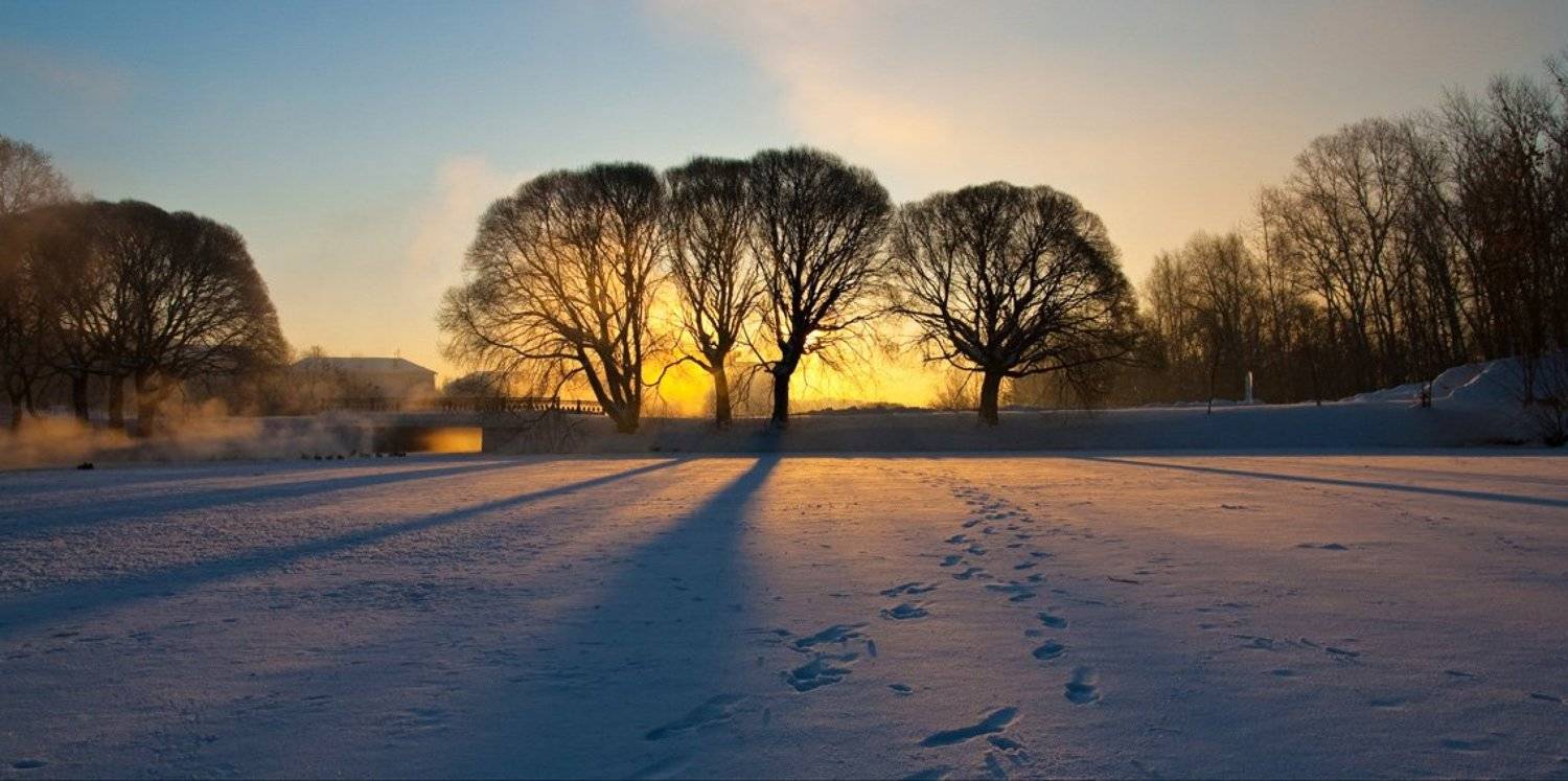 , Андрей Перешеин