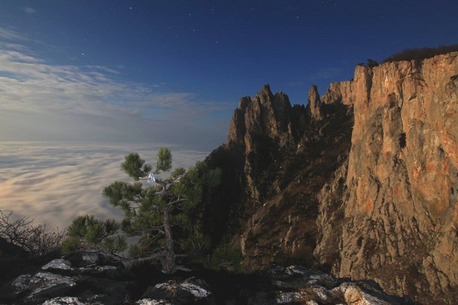 крым, горы, скалы, ай-петри, растения, ночь, небо, облака, звезды, лунный свет, пейзаж, природа,, Сергей Шульга