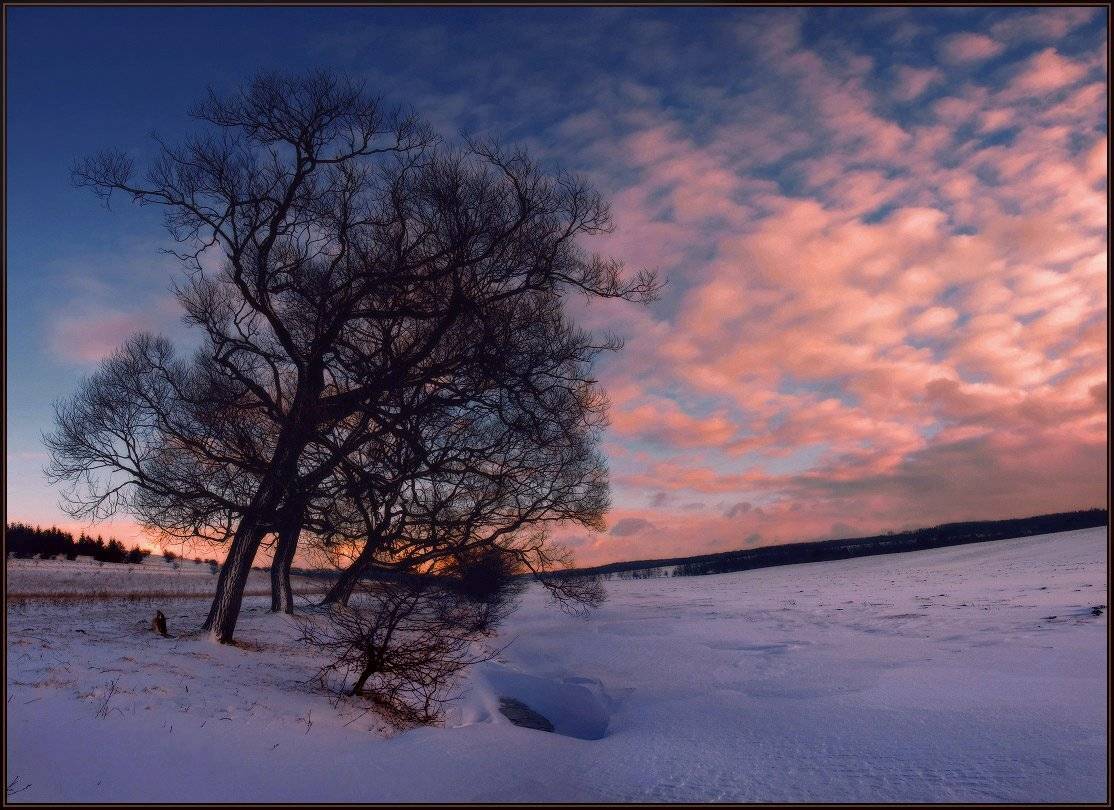 зима, утро, рассвет, небо, Владимир