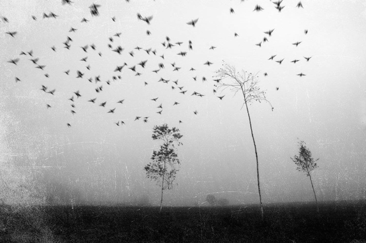 , Александр Гришаев