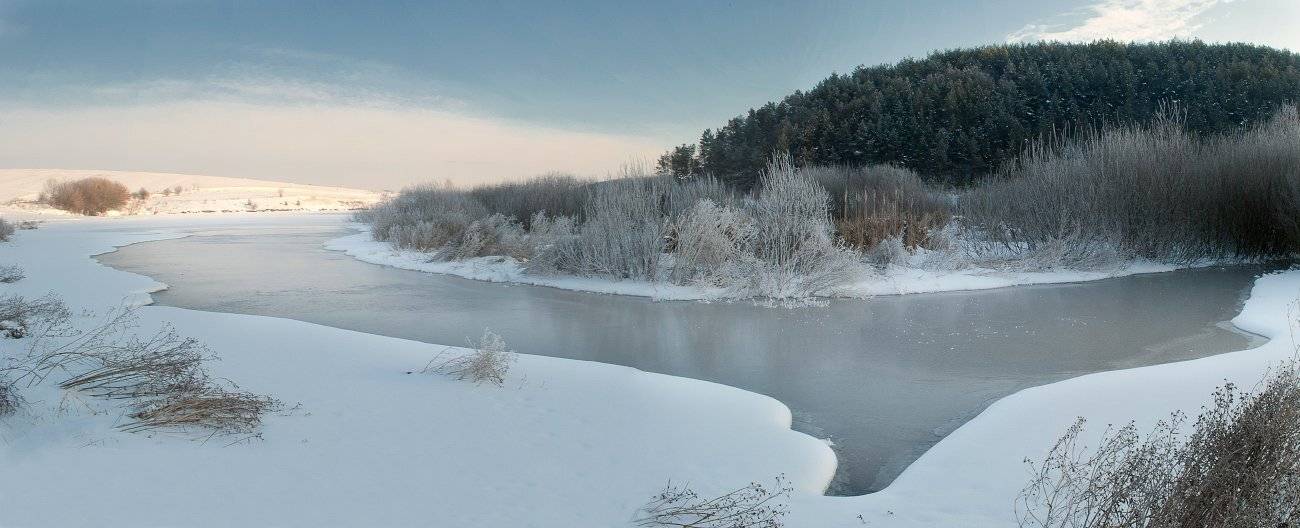 , Полищук И.В.
