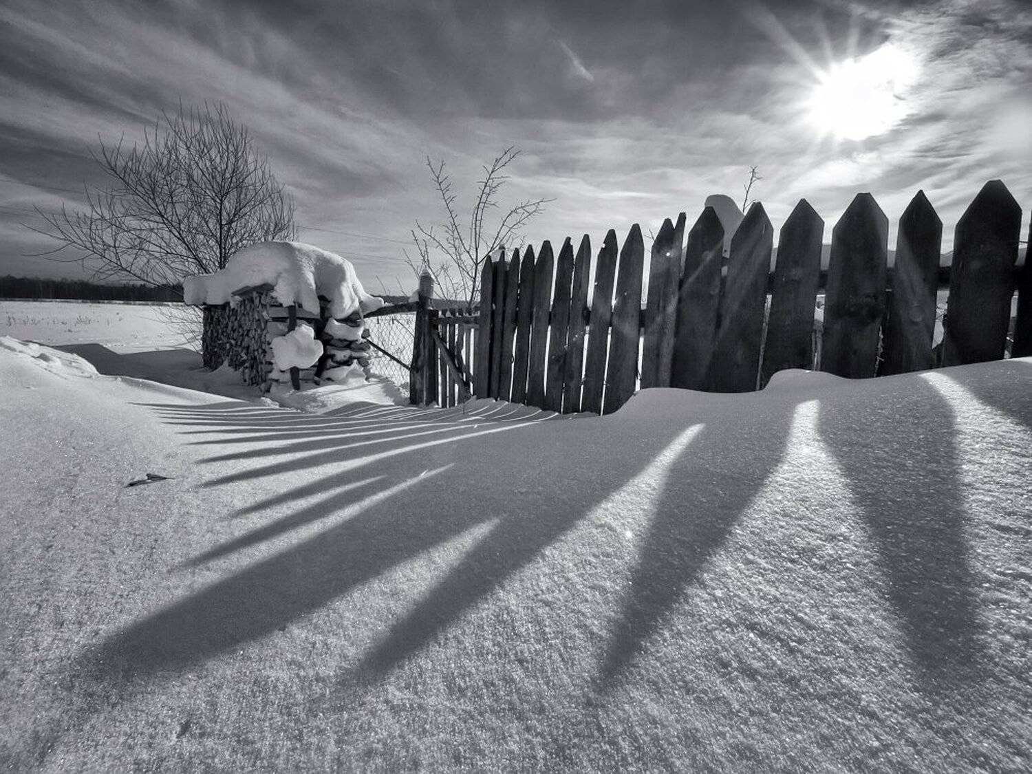 , Максим Евдокимов