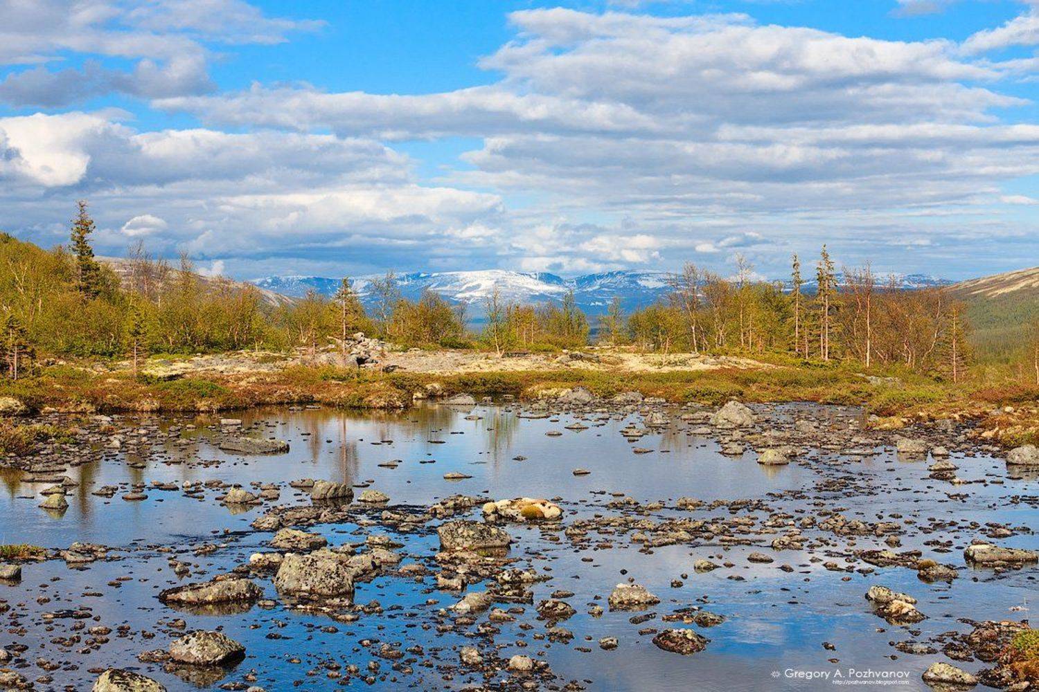 горы, хибины, осень, заполярье, озеро, долина, тульйок, лес, умбозеро, ловозеры, тундра, елки, Григорий Пожванов