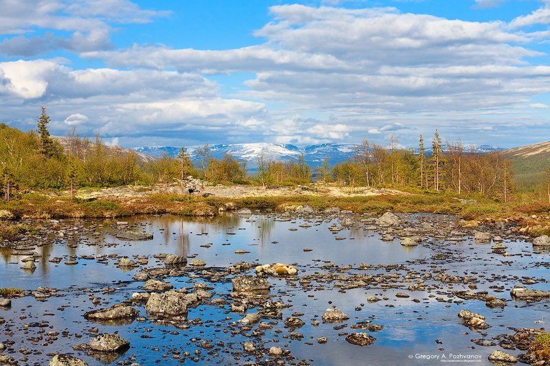горы, хибины, осень, заполярье, озеро, долина, тульйок, лес, умбозеро, ловозеры, тундра, елки Весна, Кольский фото превью