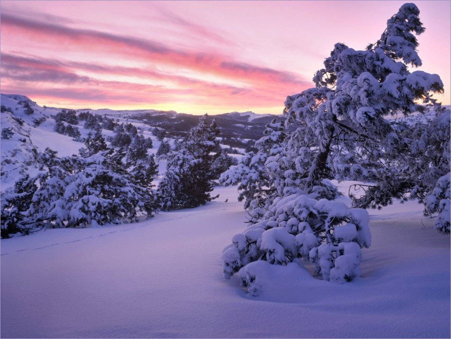 , Алексей Пучков