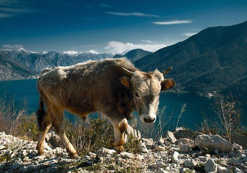 Идеальные условия