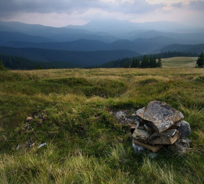 карпаты, природа, пейзаж, лето, панорама, горы, вечер *** фото превью