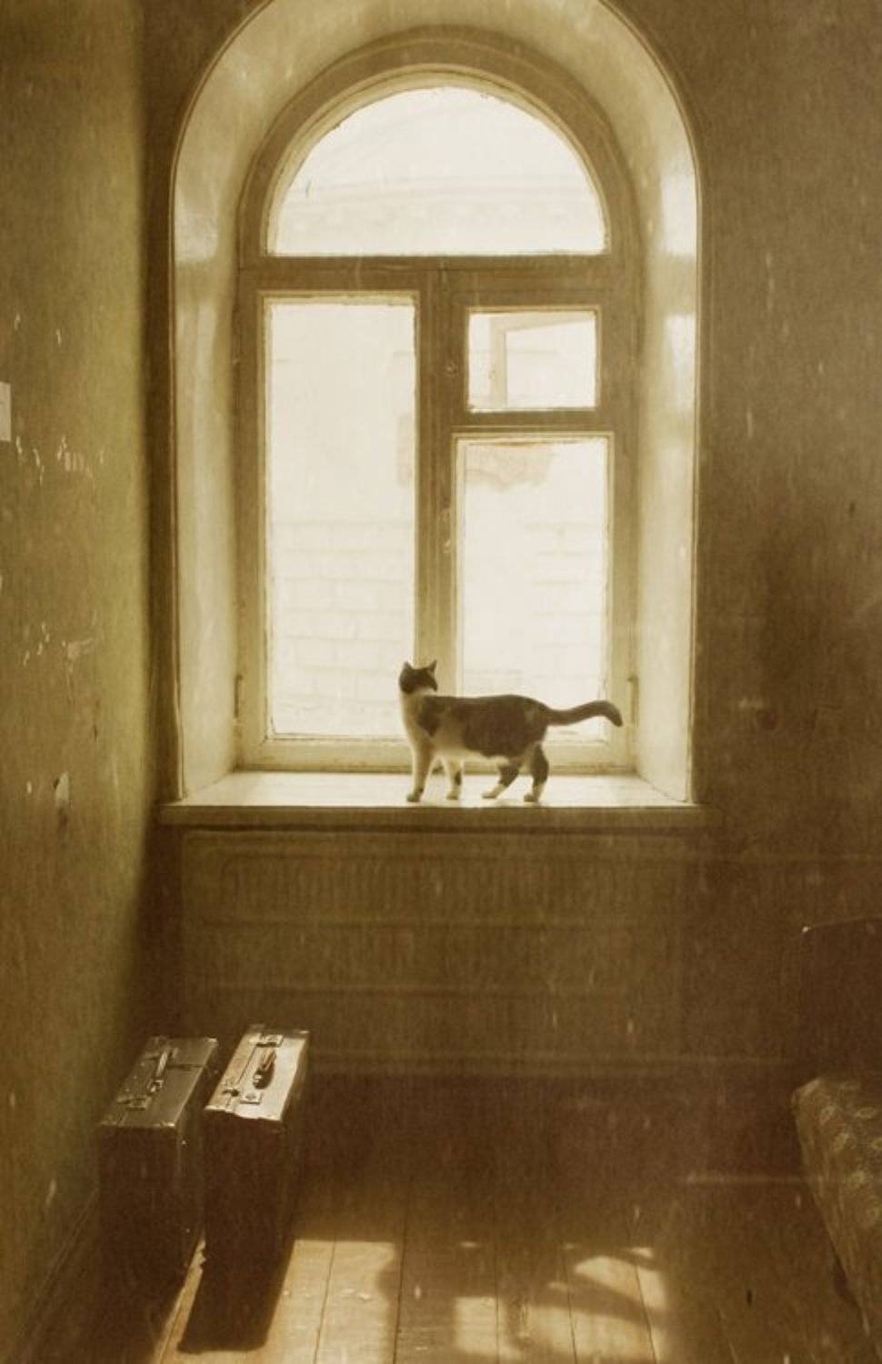 , Елена Воеводина