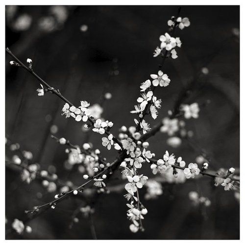 Мир в квадрате