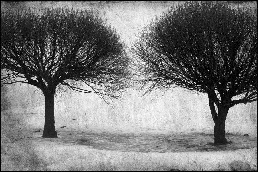 , Александр Гришаев