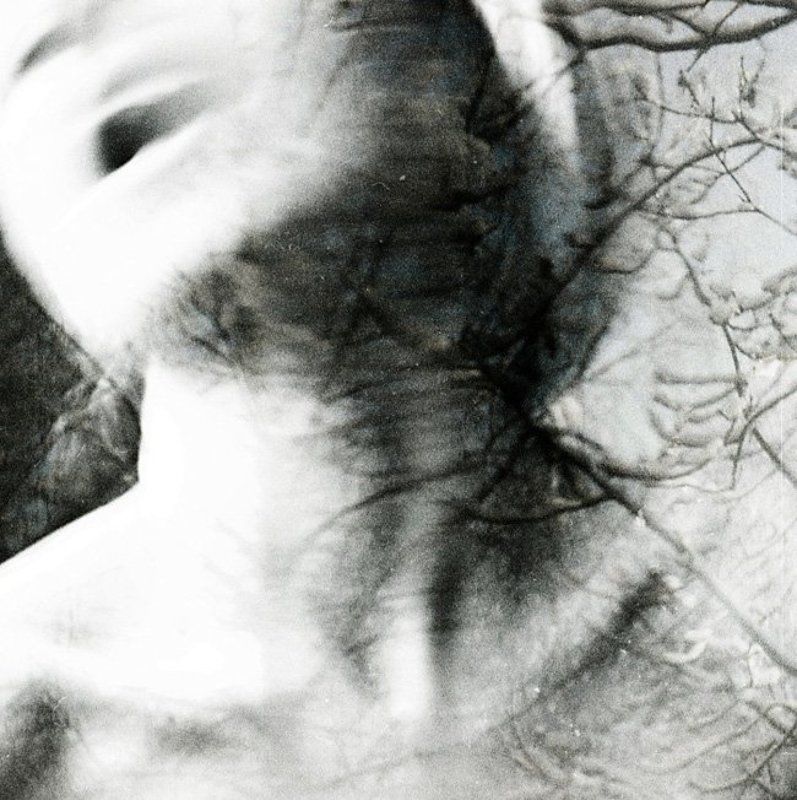 везде зима фото превью