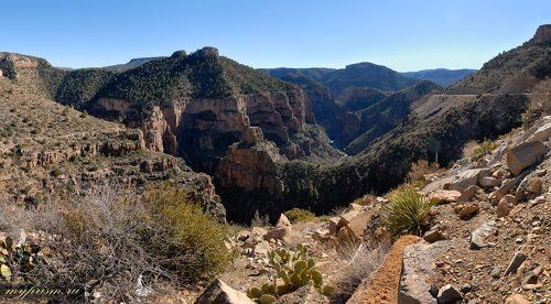 Каньон реки Salt river