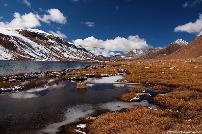 киргизия, тянь-шань, терскей ала-тоо На Тянь-Шанских сыртах. фото превью