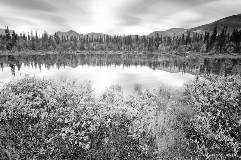 осень, горы, хибины, рисйок, заполярье, лес, куэльпорр, путеличорр, часначорр, петрелиуса, пуайявр, озеро, круглое, безымянное Пуайявр - круглое озеро фото превью