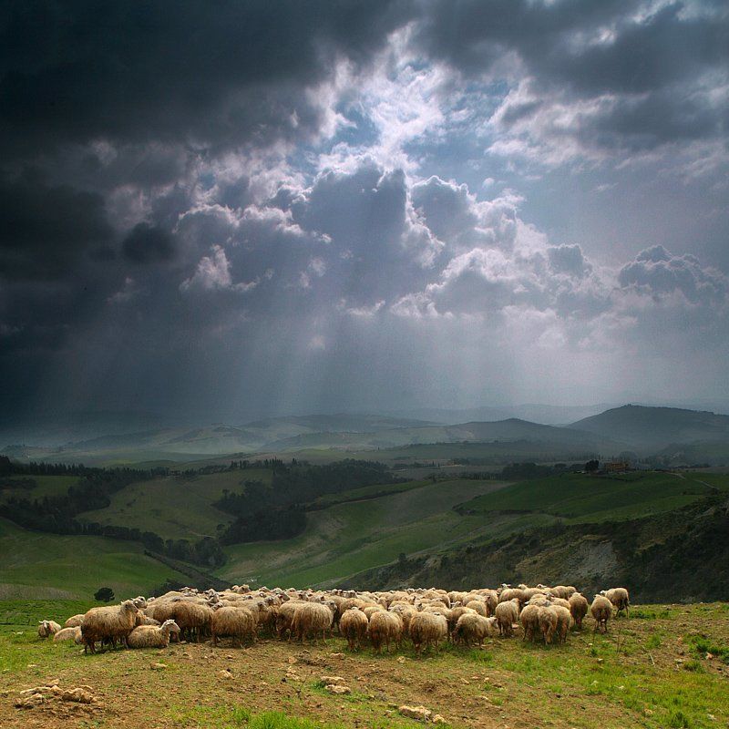 A Midspring Day's Insomnia