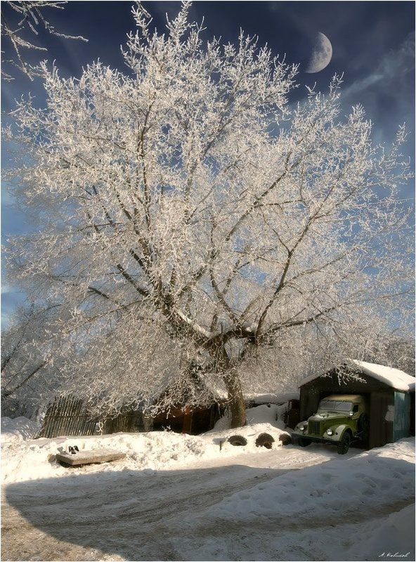 В ожидании весны фото превью