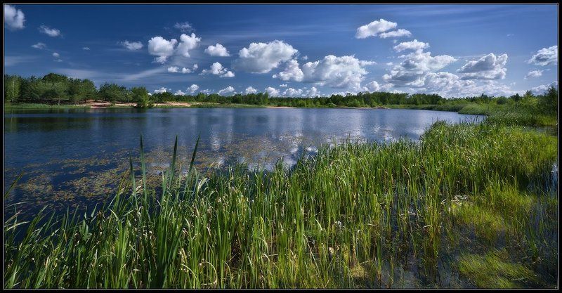 озеро,тверь *** фото превью