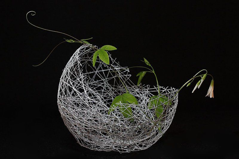 * фото превью