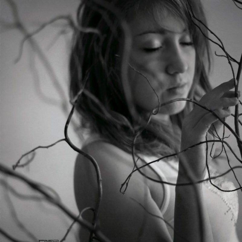 alone . фото превью