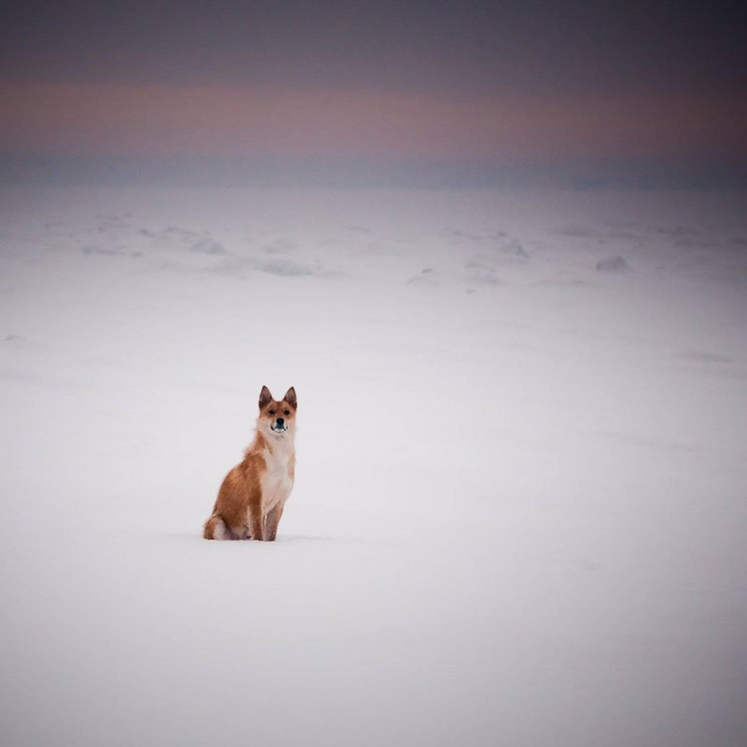 , Виталий Зимарин