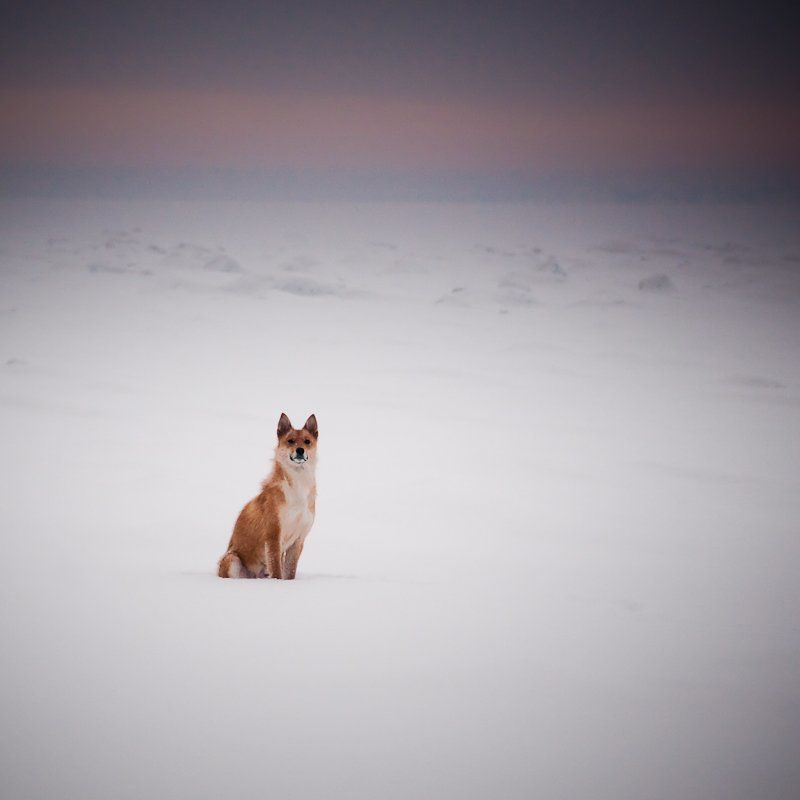 Karelia фото превью