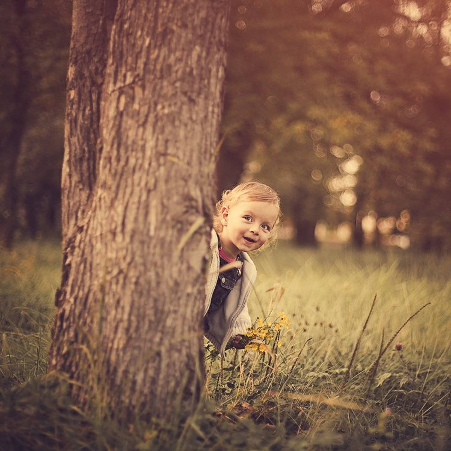 , Тарас Ганкевич
