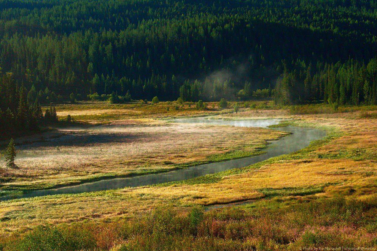 язевое, туман, алтай, Ilia Afanasieff