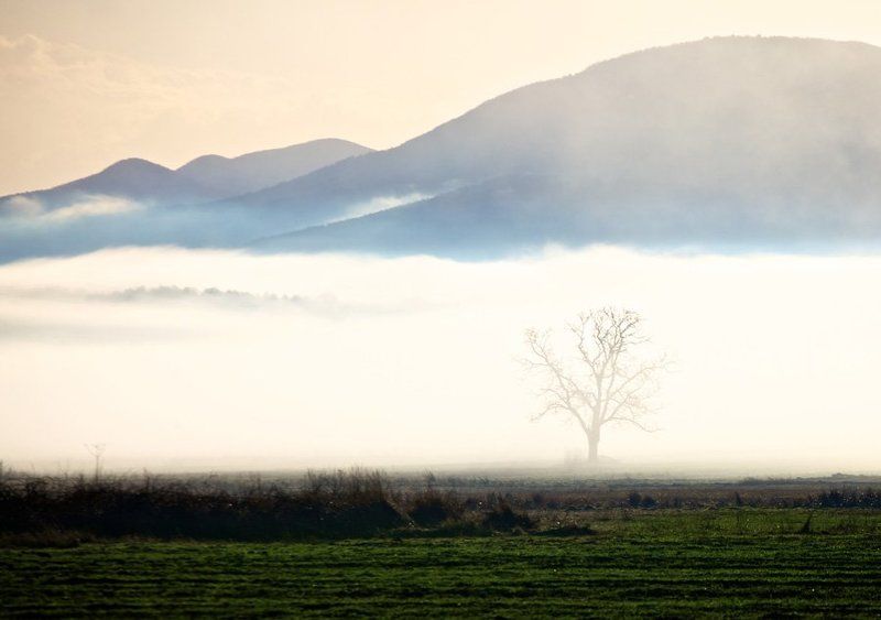 болгария Однажды утром фото превью